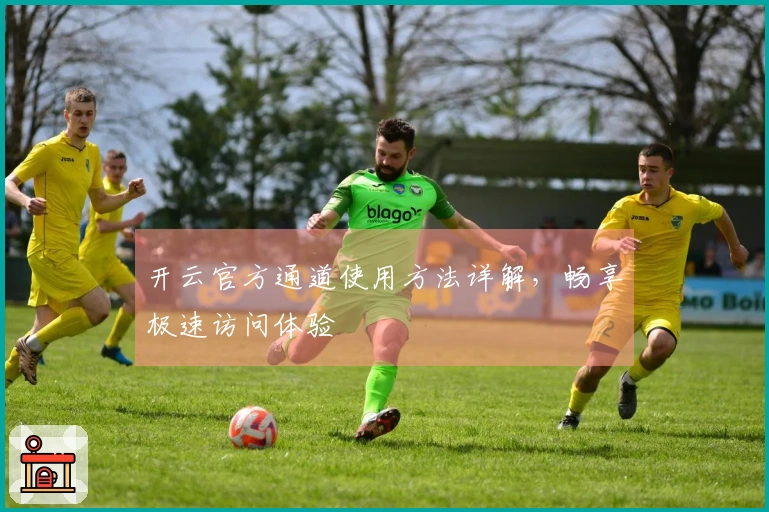 开云官方通道使用方法详解，畅享极速访问体验